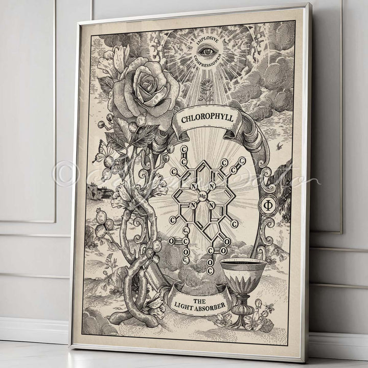 Chlorophyll Chemical structure Print