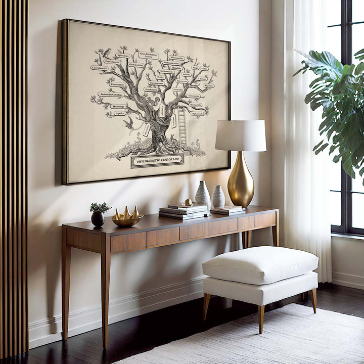 Microbiology phylogenetic tree of life Print