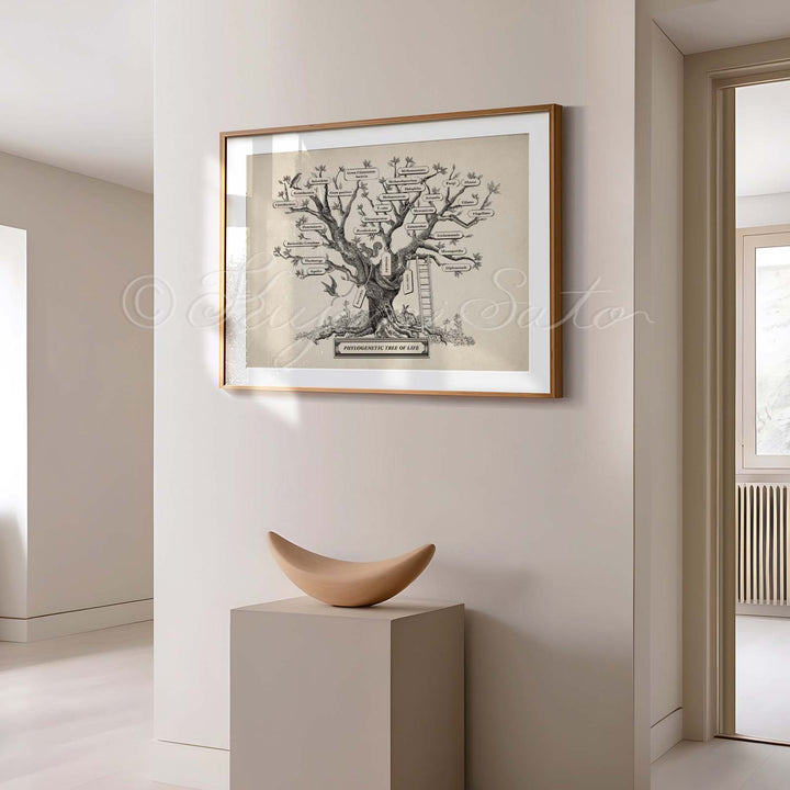 Microbiology phylogenetic tree of life Print