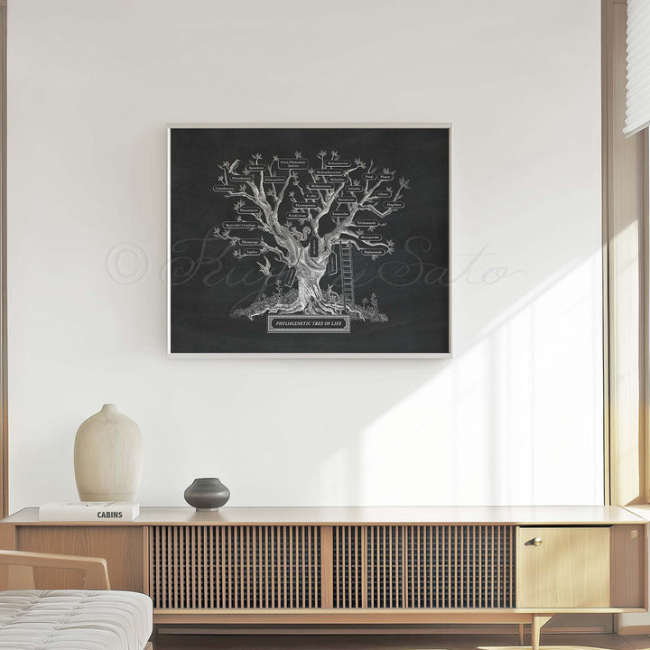 Microbiology phylogenetic tree of life Print Black
