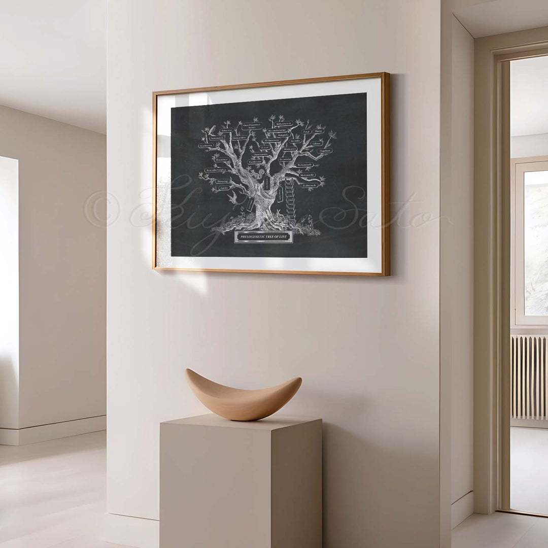 Microbiology phylogenetic tree of life Print Black